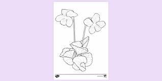 Violet coloring pages are a fun way for kids of all ages to develop creativity, focus, motor skills and color recognition. Free Violet Colouring Page Colouring Sheets