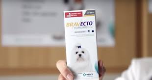 How do i give it? Bravecto Flea Medication Suspected In Numerous Dog Deaths Worldwide
