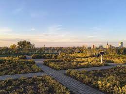 Check spelling or type a new query. University Of Warsaw Library Rooftop Garden Poland Two Find A Way