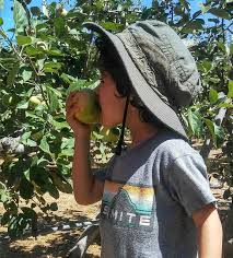 5 out of 5 stars. Volcan Valley Apple Farm Julian 2021 All You Need To Know Before You Go With Photos Tripadvisor
