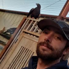 Effort required to earn cars in Forza Horizon 5