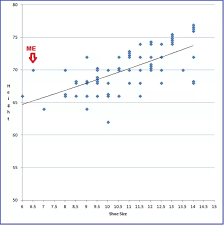 what percentage of tall women do not have a large shoe size