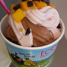 ice cream frozen yogurt