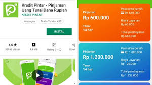 Total ada sekitar 113 aplikasi pinjaman dana online yang terdaftar ojk hingga saat ini. Aplikasi Pinjaman Online Bunga Rendah Ojk 2021 Pinjaman Online Investasi Keuangan Asuransi Duwitmu