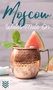 21 Best Moscow Mule Variations Try New Recipes In 2020 Moscow Mule Recipe Mule Recipe Moscow Mule Variations