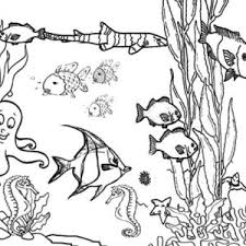 Every page within this coloring book for. Ocean Plants Among Coral Reef Fish Coloring Pages Kids Play Color