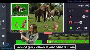 طريقه عمل ازاله احترافيه للخلفيه باى لون من خلال الهاتف باستخدام تطبيق كاين ماستر kine master elephant animals pandora screenshot