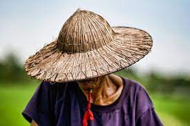 Etienne Bossot 500px Rice Price Hats People Photography