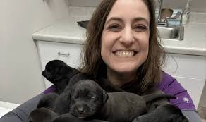 veterinary wellness Archives