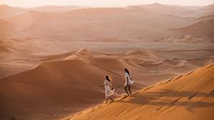 Make your holidays truly awesome with our quick navigation below. Namibia Photo Adventure Safari With Jason Emilie Safarifrank