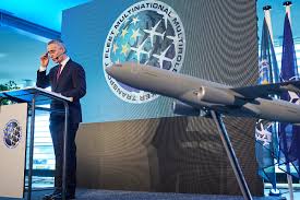 Image result for Tan 2020 Fleet