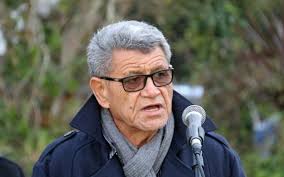 35 Māori celebrated in New Year's Honours list 2025