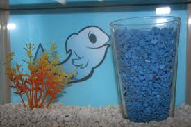 Aquarium decorations and ornaments can completely change the feel of your aquarium while at the same time, giving your fish something else to explore and play around with. Aquarium Clipart Aquarium Design Aquarium Aquarium Design Transparent Free For Download On Webstockreview 2021