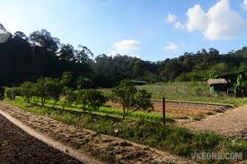 The hulu langat road is usually slow every day due to lorries and narrow lanes. Pork Free Malaysia Food Travel Blog