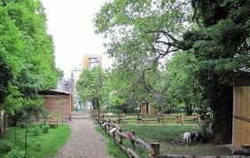 Maisons Alfort Cette Ferme Vous Emmene A La Campagne Le Parisien