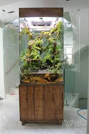 Untitled Reptile Habitat Vivarium Aquascape Design