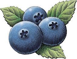 Scratchboard For Jelly Labels On Behance Scratchboard Illustration Scratchboard Fruit Illustration