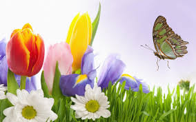 If you see something you'd like to use, just click on the image and you'll be led to the source where you can download a larger size. 24 Free Widescreen Spring Wallpaper Venera Wallpaper