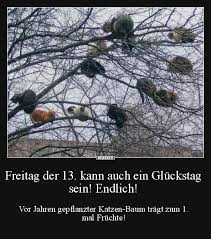 Freitag Der 13 Bilder Spruche