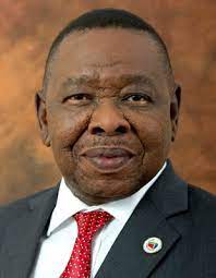 Update information for blade nzimande ». Bonginkosi Emmanuel Blade Nzimande Dr South African Government