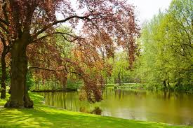 Discover millions of domains available for sale. Amsterdam Vondelpark