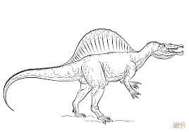 Select the spinosaurus dinosaur you want to color and download the free coloring page that features the dino image that you want. Spinosaurus T Rex Dinosaur Coloring Pages Novocom Top