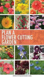 Pin On Garden Design Tips Tutorials And Ideas