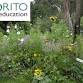 Introduction to Permaculture event image
