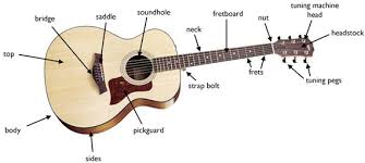 Low e string, a string, d string, g string, b string and. Named Of Guitar Parts Lakways Com