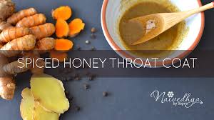 Ayurvedic Spiced Honey Throat Coat Ayurveda In Dallas Tx Dallas Ayurveda Naivedhya Food Honey Recipes Seasonal Allergies