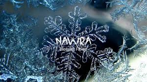 نورا Nawra Name Meaning In Urdu Arabic Names For Girls