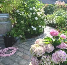 Tolomeo Herbst 5 Gartengestaltung Garten Ideen Garten