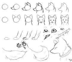 Here's a giant wolf drawing tutorial for you guys! Easy How To Draw A Wolf Novocom Top