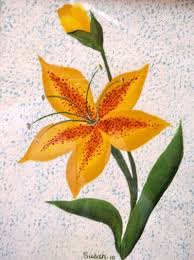 Birth Month Flower Grow Kit Canada Lily Flower One Stroke Painting By Susan Earl Lily Painting Flower Painting Canvas Painting Tutorials