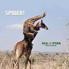 Omaha ne exterminator, pest control & termite inspector. All Star Pest Control Pest Control 2829 S 148th Ave Cir West Omaha Omaha Ne Phone Number