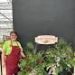 Festive Greens Arrangement Workshop – 10/12″ urns event image