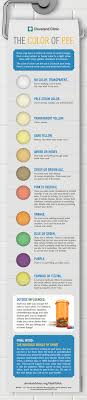 Is Your Urine Colour Normal Experts Reveal Urine Colour Chart