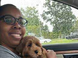 Fundraiser for Angelia Hollingsworth by Shanna McVean : Support for  Eriecka's Son, Nick, and Family