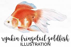 If you are new to dreaming tree, this is a wonderful place to. Goldfish Koi Clipart Vintage Fish 197718 Illustrations Design Bundles