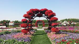 Posts About Dubai Miracle Garden On Pieces Of My Life Miracle Garden Gardens Of The World Dubai Garden