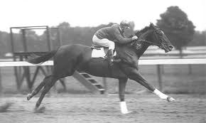 Coverage will also be streamed on nbc sports live. Preakness Stakes 2021 Contenders Lineup And Odds Horse Racing News