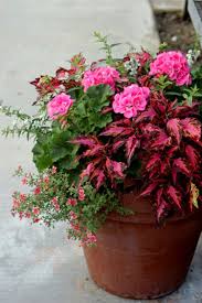 99 Simple Summer Container Garden Flowers And Formula 72 99architecture Container Gardening Flowers Fall Container Gardens Garden Containers