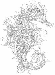 Free seahorse colouring page for adults. Pin On Draw