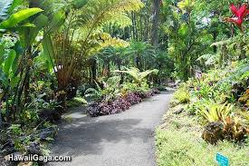 Admission is $20 for adults. Hawaiian Tropical Botanical Garden Big Island Tropical Landscaping Diy Garden Stepping Stones Tropical Garden Design