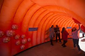 Awareness bracelets generally use the same, or similar colors to awareness ribbons. Houston Goes Blue For Colorectal Cancer Awareness Month Tmc News