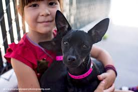 Annual Event Offers Inspiration, Opportunities to Probation Youth