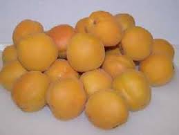 Both apricots and plums can be dried. Apricot Facts And Picking Tips
