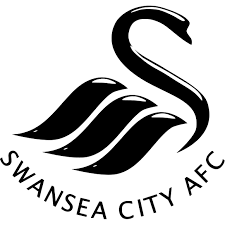 Maybe you would like to learn more about one of these? Swansea City Afc 2019 2020 Effectif Actuel Cavpo