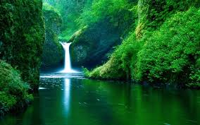 • 35 255 просмотров 3 года назад. Windows 10 Wallpaper Waterfall