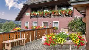 Unser haus liegt inmitten von wiesen am nahen wald mit einem traumhaft schönen ausblick auf die bergwelt. Ferienwohnung Haus Schmid Lenzkirch Holidaycheck Baden Wurttemberg Deutschland